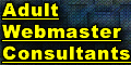 adult webmaster consultants